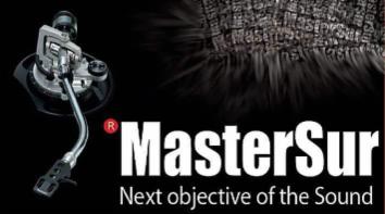 MasterSur - Foto 1
