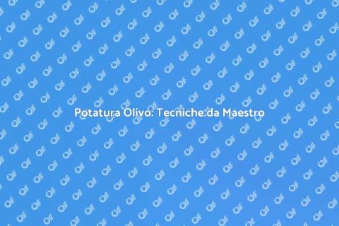 Potatura Olivo: Arte e Competenza