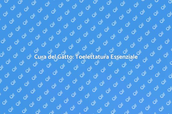 Toelettatura Gatto: Un Servizio Indispensabile