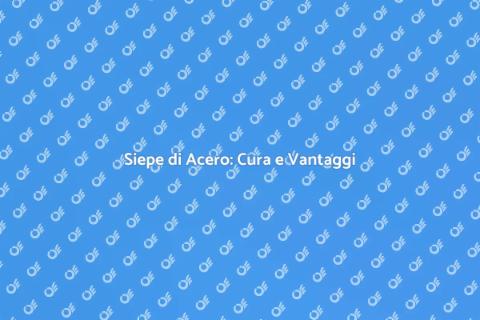 Manutenzione Siepe di Acero in Giardino