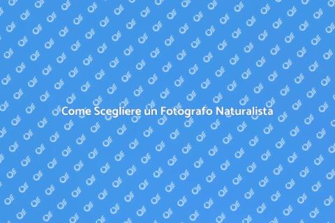 Ingaggiare un Fotografo Naturalista