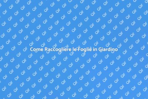 Raccogliere le Foglie in Autunno