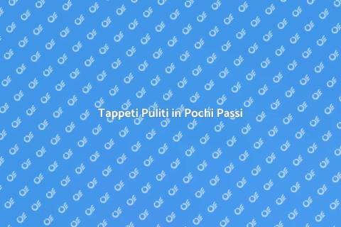 Lavaggio e Asciugatura Tappeti Facile