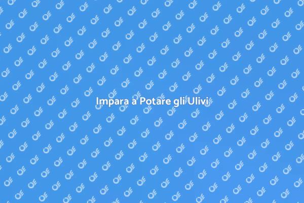 Potatura Olivo: Corso Essenziale