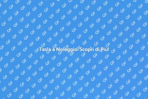Noleggiare una Tesla con Ernesto