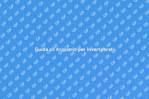 Acquario Perfetto per Invertebrati
