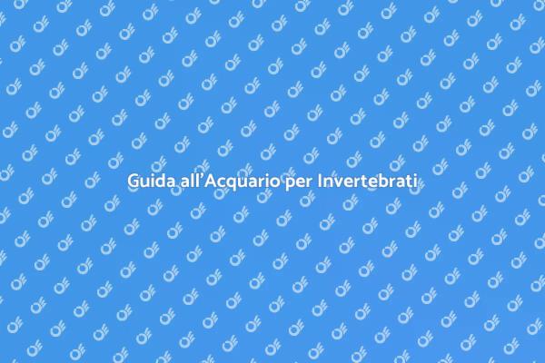 L'Acquario Ideale per Invertebrati
