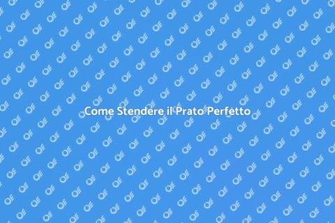 Stendere il Prato: Guida Pratica Verde