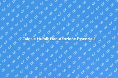Manutenzione Bimestrale Caldaie Murali
