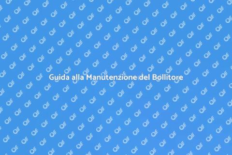 Manutenzione Bollitore ad Immersione