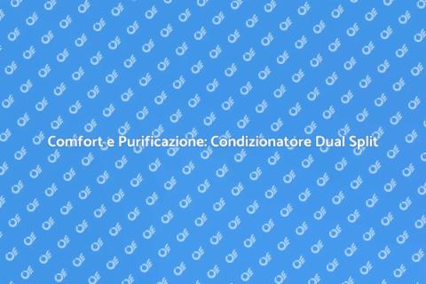 Condizionatore Dual Split: Comfort e Salute