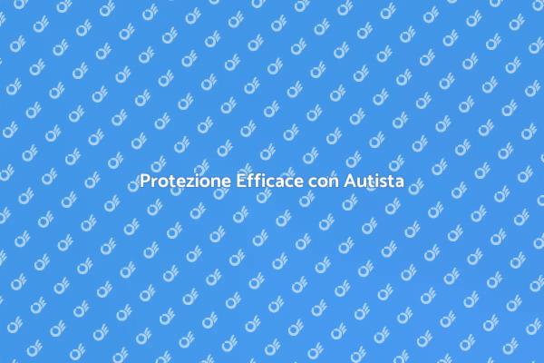 Servizio di Sicurezza con Autista