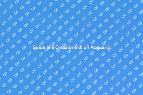 Crea il Tuo Nuovo Acquario Facile