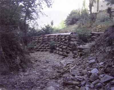 Le Dodici Querce  - Foto 2