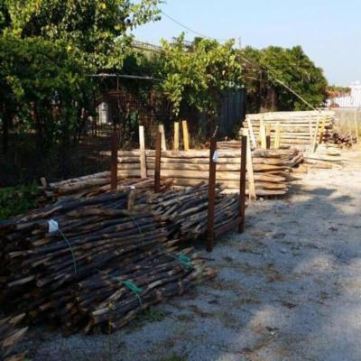 Impresa Boschiva di Lettieri Esterina  - Foto 4