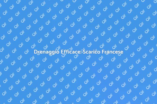 Gestire le Acque con Scarico Francese
