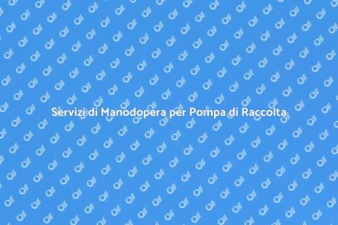 Manodopera per Pompa di Raccolta