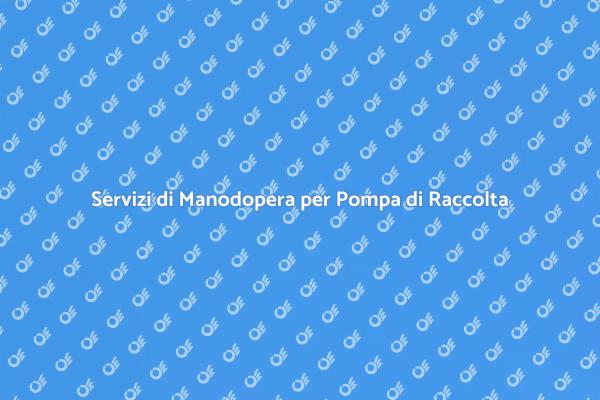 Installazione Professionale Pompa di Raccolta