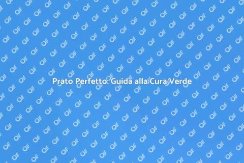 Cura del Prato: Trasforma il Tuo Giardino