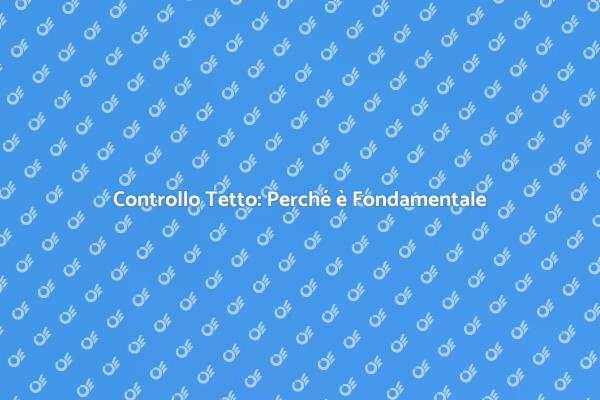 Ispezione Tetto: Sicurezza Garantita