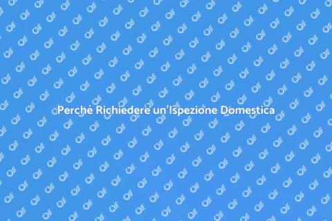 Ispezione Domestica: Vantaggi e Necessità