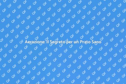 Aerare il Prato per Salute Ottimale
