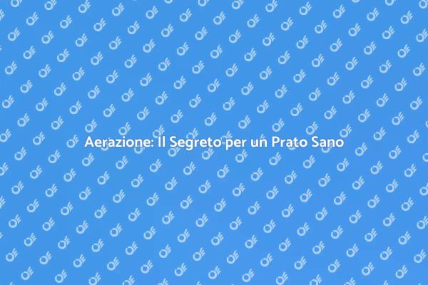 Aerazione: Prato Rigoglioso e Sano