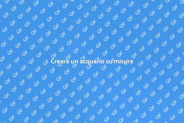 L'arte dell'acquario su misura