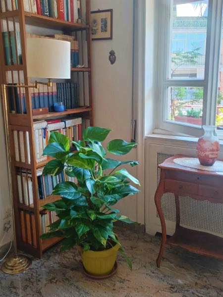 Psicologa - Foto 4