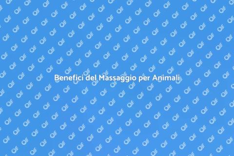Massaggiatore Qualificato per Animali
