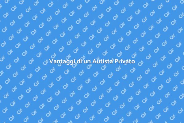 Scegli un Autista Privato per Te