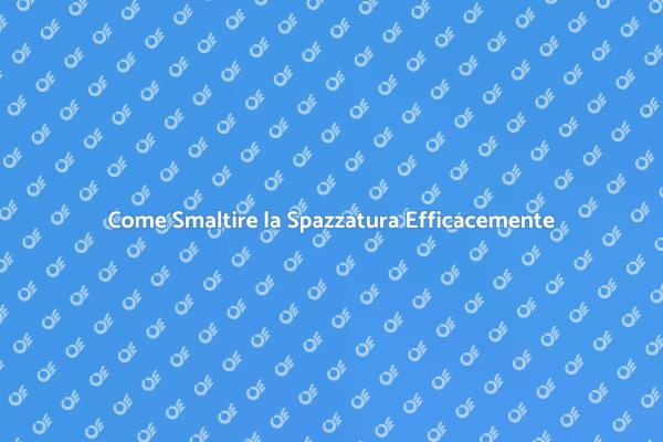 Rimozione e Smaltimento della Spazzatura