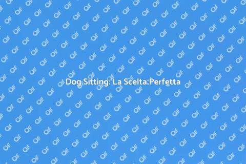 Dog Sitting a Domicilio: Comfort e Cura