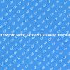 Sicurezza Stradale con Pulizia Neve Efficace