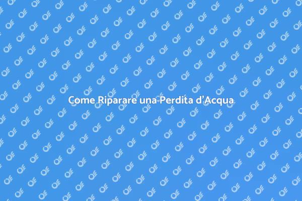 Riparazione Efficace delle Perdite d'Acqua
