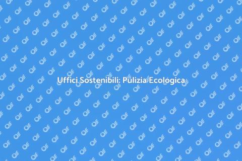 Pulizia Ecologica negli Uffici