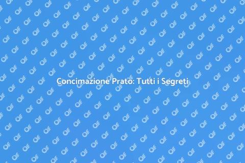 Concimare il Prato: Guida Essenziale
