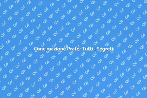 Prato Verde: Come Concimarlo Correttamente