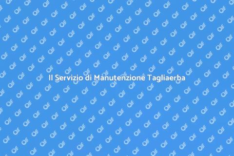 Manutenzione Tagliaerba: Un Servizio Essenziale
