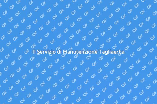 Perché Manutenere il Tuo Tagliaerba?