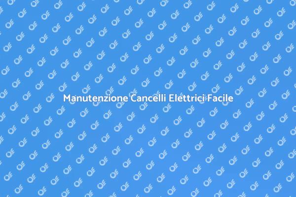 Manutenzione e Riparazione Cancelli Elettrici