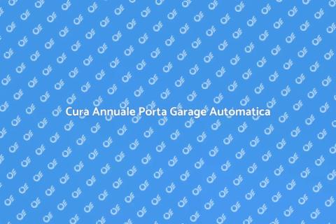 Manutenzione Automazione Porta Garage