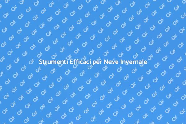Guida all'Attrezzatura per Neve