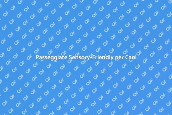 Esperienze Uniche per il Tuo Fido