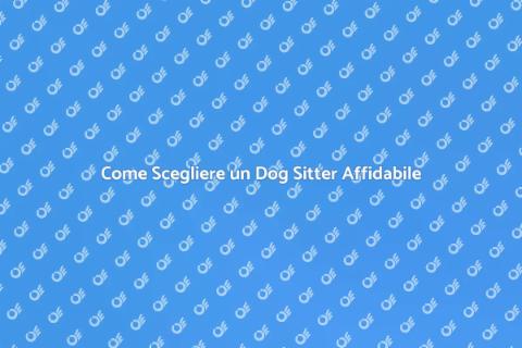 Assumere un Dog Sitter per Passeggiate